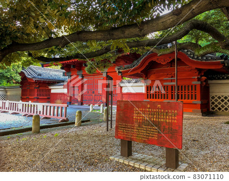 Tokyo Hongo / Todai Akamon 83071110