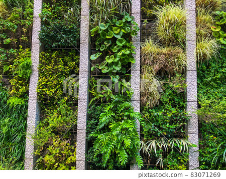 Wall greening building in Otemachi, Tokyo Wall greening building in Otemachi, Tokyo 83071269