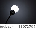 light bulb  83072705