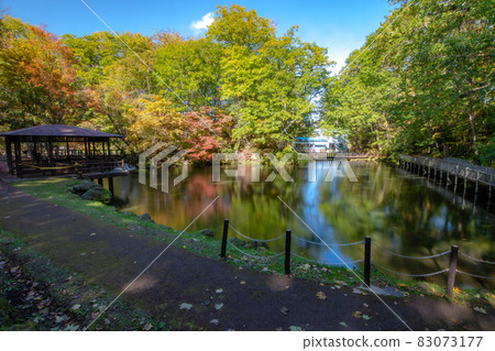 Autumn leaves in Fukidashi Park, Kyogoku Town 83073177