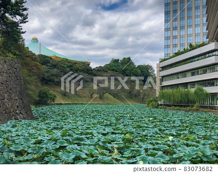 Ushigabuchi, Edo Castle (Imperial Palace), Tokyo Ushigabuchi, Edo Castle (Imperial Palace), Tokyo 83073682