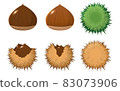 Illustration of chestnut and igaguri 83073906
