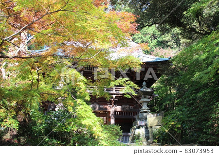 Autumn leaves and mountain gate Sakuragawa City Yakuoin Autumn leaves and mountain gate Sakuragawa City Yakuoin 83073953