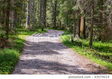A dirt road A dirt road 83074014