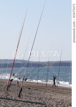 Salmon fishing, salmon fishing, Akiazi, Sea of Okhotsk, autumn tradition 83075071