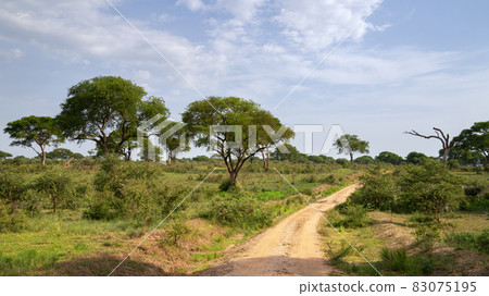 Murchison Falls National Park, Uganda Murchison Falls National Park, Uganda 83075195