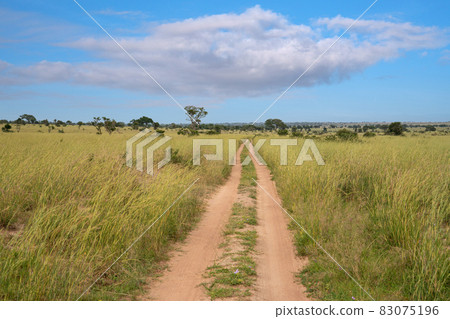 Murchison Falls National Park, Uganda 83075196