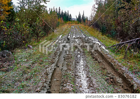 A muddy road with ruts in a cutline 83076182