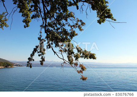 View from Lovran's seaside promenade, Adriatic coast, Kvarner bay, city details, Croatia View from Lovran's seaside promenade, Adriatic coast, Kvarner bay, city details, Croatia 83076766