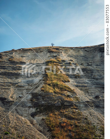 Idyllic countryside view to a bare and lone tree on the top of the karst limestone hills at Orheiul Vechi, old Orhei complex, near Trebujeni village, Moldova. Autumn season natural landscape 83077553