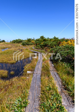 Raised bog and mountain trail near Mt. Chumondake Raised bog and mountain trail near Mt. Chumondake 83079076