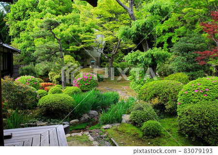 Fresh green Zuishinin 83079193