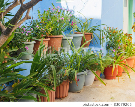 The interior of summer yard. Summer patio of greek house with plants in pots. The interior of summer yard. Summer patio of greek house with plants in pots. 83079265