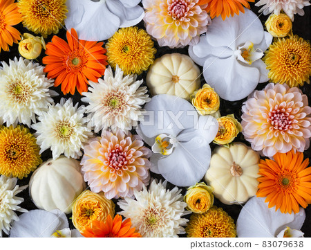 Arrangements of orchids, dahlias and gerberas Arrangements of orchids, dahlias and gerberas 83079638