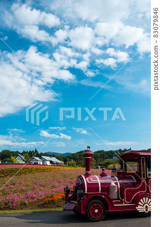 Rainbow flower field, train bus and blue sky 83079846