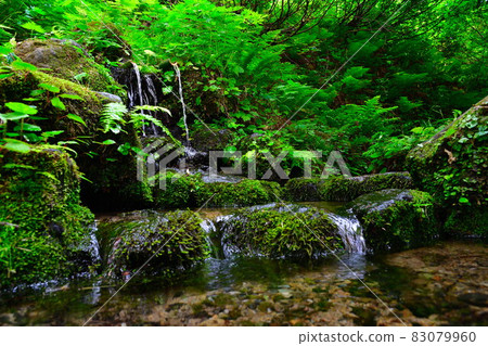 Aoi no Mori Meisui Park (Niigata Prefecture) Aoi no Mori Meisui Park (Niigata Prefecture) 83079960