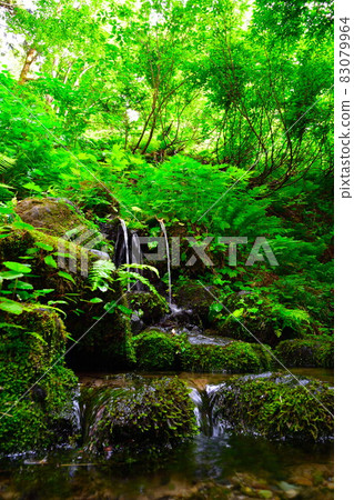 Aoi no Mori Meisui Park (Niigata Prefecture) Aoi no Mori Meisui Park (Niigata Prefecture) 83079964