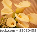 Flower white 83080458