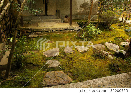 Winter lotus garden 83080753