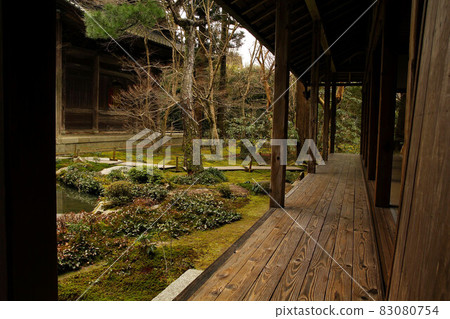 Winter lotus garden 83080754