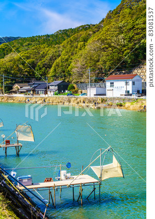 Ice goby fish from the Sasa River [Saza Town, Kitamatsuura County, Nagasaki Prefecture] 83081537