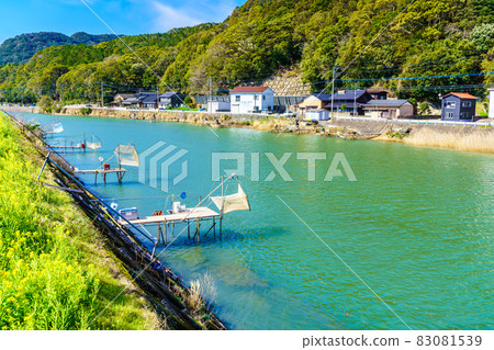 Ice goby fish from the Sasa River [Saza Town, Kitamatsuura County, Nagasaki Prefecture] 83081539