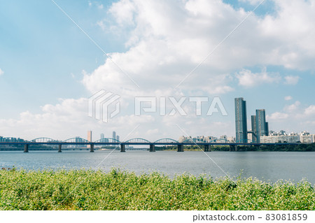 Buckwheat flower field and city view at Banpo Han river park Seorae island in Seoul, Korea 83081859