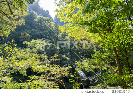 Mie Prefecture Odai Town Osugiya Valley Scenery 83081943