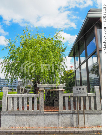 Umewakazuka in Mokuboji, Sumida-ku, Tokyo Umewakazuka in Mokuboji, Sumida-ku, Tokyo 83082189