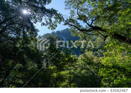 Mie Prefecture Odai Town Osugiya Valley Scenery 83082467