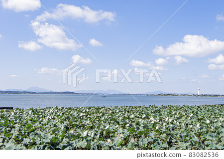 霞浦湖 83082536