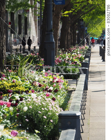 Yokohama Flower and Green Spring Fair 2021 (Nihon Odori, taken in April 2021 j 83082786