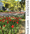 2021年橫濱花卉綠色春季展（攝於2021年4月） 83082936