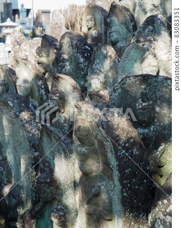 埼玉縣川口市 83083351