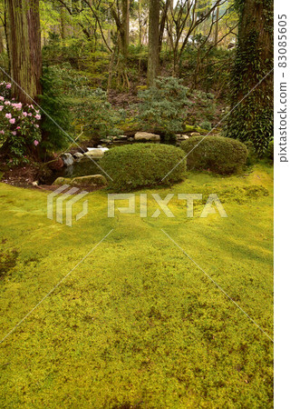 京都三善院的風景 京都三善院的風景 83085605