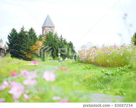 Landscape of Hokkaido Cosmos field in Takino Suzuran Hillside Park 83087234