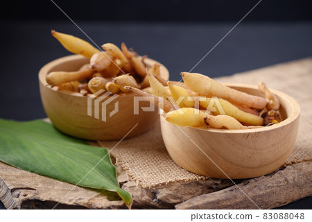 Fresh Kaempferia or fingerroot, Organic herbal plant phytochemical and medicinal properties Fresh Kaempferia or fingerroot, Organic herbal plant phytochemical and medicinal properties 83088048