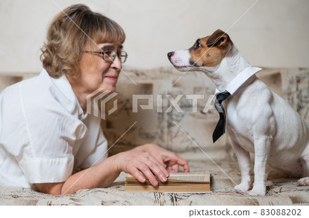 An elderly caucasian woman is lying on a sofa with a smart dog jack russell terrier wearing glasses and a tie and reading a book. An elderly caucasian woman is lying on a sofa with a smart dog jack russell terrier wearing glasses and a tie and reading a book. 83088202