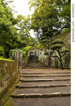 Fresh green Sengan-en 83089082