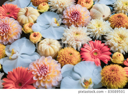 復古色調的蘭花、大麗花和非洲菊的排列 83089501