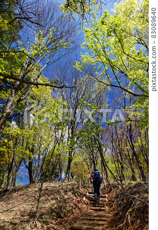 Climbers heading to the fresh green of Tanzawa and Nabewariyama 83089640