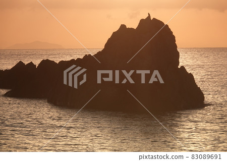 Osprey perching on the rocky shore of a sparrow fly Osprey perching on the rocky shore of a sparrow fly 83089691