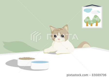 Flat art and cartoon design with scottish white brown tabby cat look and wait for eat food on table Flat art and cartoon design with scottish white brown tabby cat look and wait for eat food on table 83089706