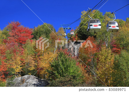 Funiculars at Mont Tremblant with autumn color leaf, Quebec, Canada 83089971