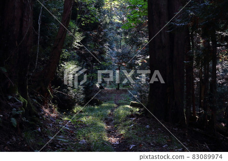 Mt. Hayachine Monma Course Mountain Trail Mt. Hayachine Monma Course Mountain Trail 83089974