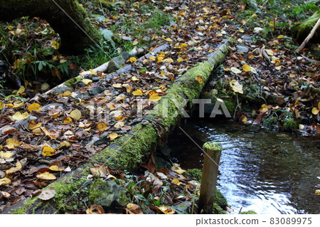 Mt. Hayachine Monma Course Mountain Trail Mt. Hayachine Monma Course Mountain Trail 83089975