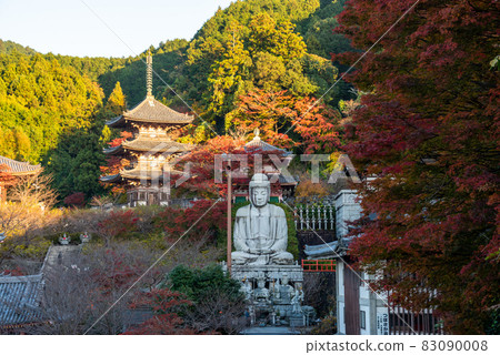 《奈良縣》 Nanhokaji 寺(坪坂寺) 《奈良縣》 Nanhokaji 寺(坪坂寺) 83090008