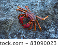 Iso crab 83090023