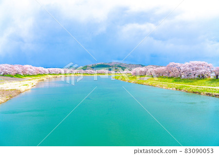白石川和一目千本櫻春意(宮城縣小河原町) 白石川和一目千本櫻春意(宮城縣小河原町) 83090053