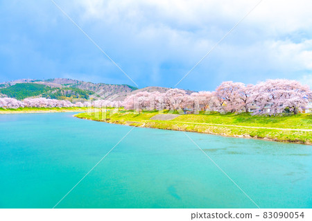 白石川和一目千本櫻春意(宮城縣小河原町) 白石川和一目千本櫻春意(宮城縣小河原町) 83090054